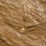 Seashell Necklace