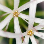 Elegant Flower Earrings