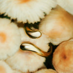 Luxury Ring