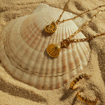 Seashell Necklace